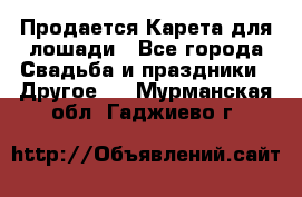 Продается Карета для лошади - Все города Свадьба и праздники » Другое   . Мурманская обл.,Гаджиево г.